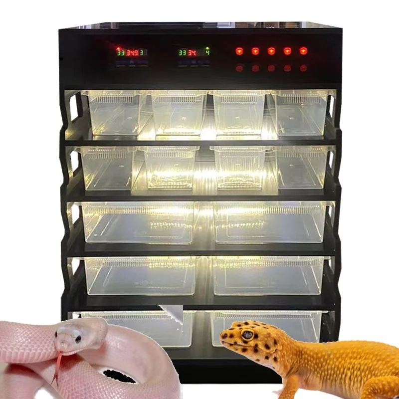 Gecko Lighting & Decor - Mobili Intelligenti in PVC per Rettili,