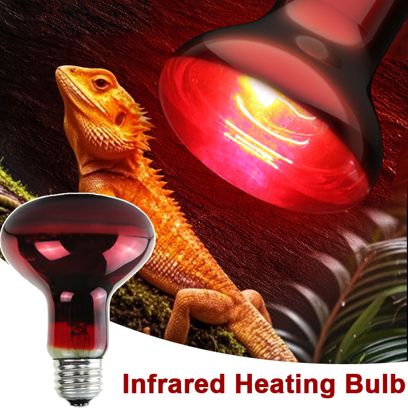 Lampada Riscaldante per Rettil - Gecko Lighting & Decor recensione e prezzo
