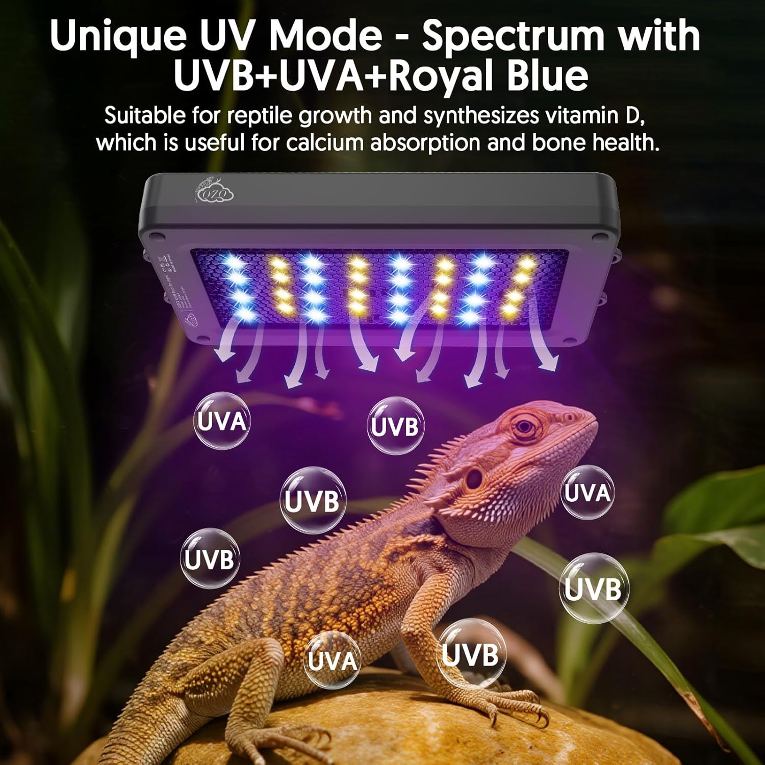 Lampada per rettili LED UVA UV - Gecko Lighting & Decor recensione e prezzo