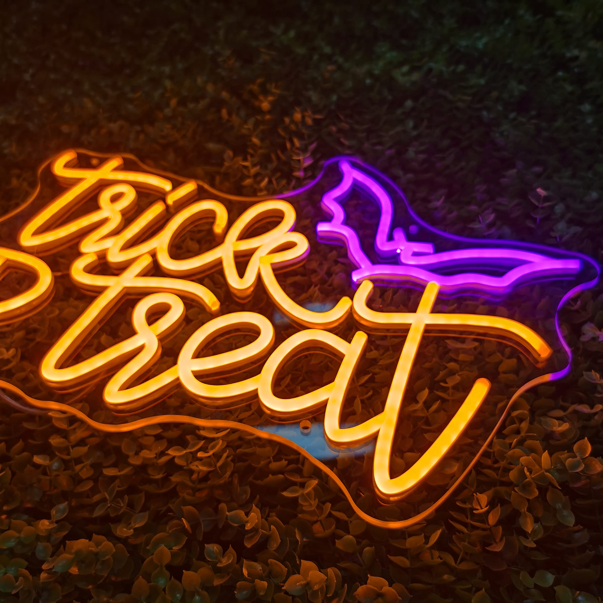 Insegna Luminosa al Neon 