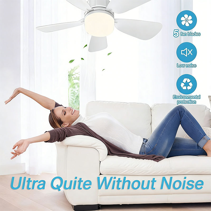 Ventilatore da soffitto a vite - Decor Lighting Ceiling Fans recensione e prezzo