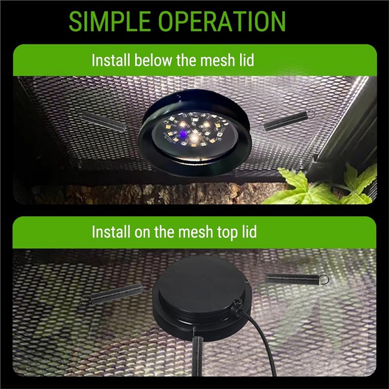 【ORNAMENT】Lampada LED a spettr - Gecko Lighting & Decor recensione e prezzo