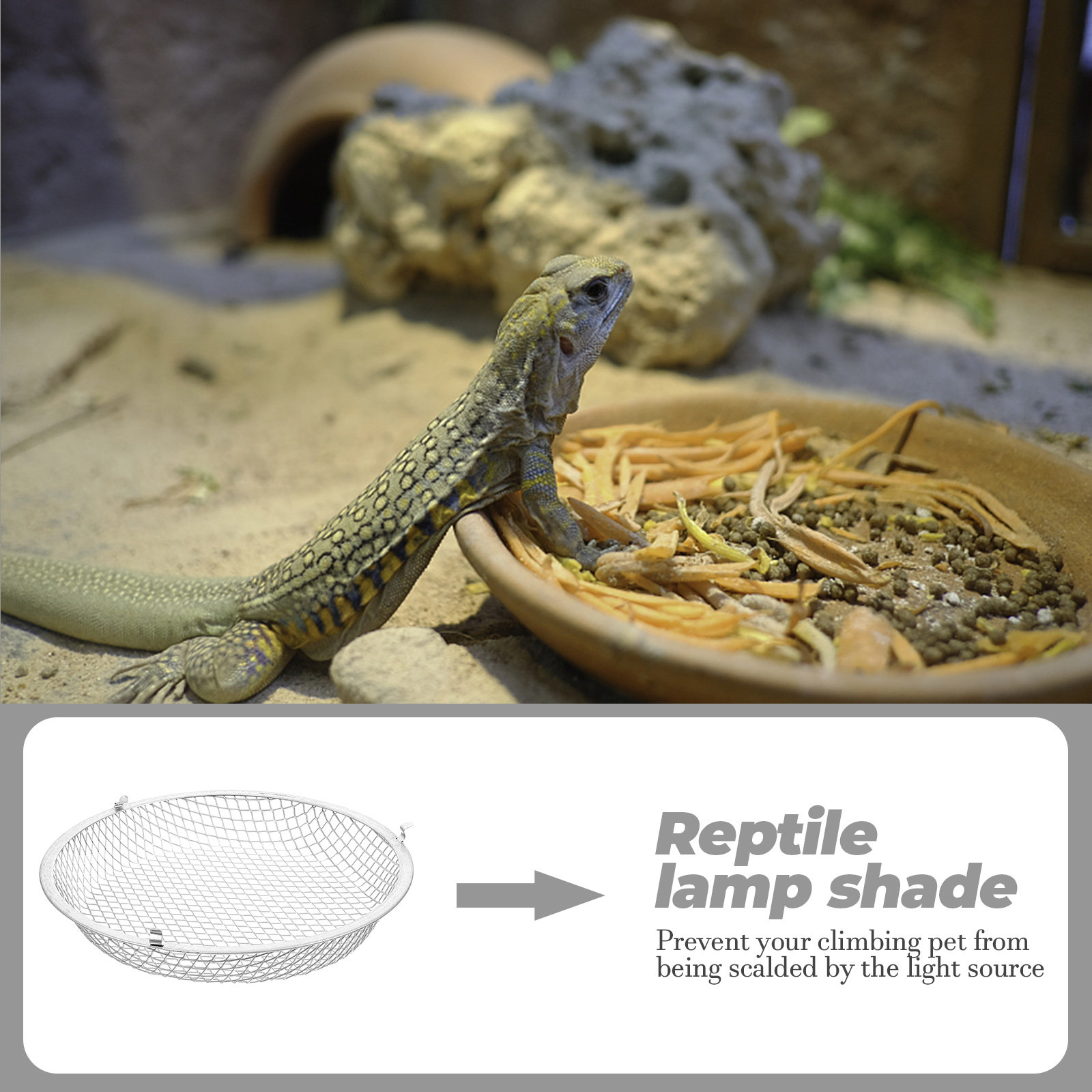 Copertura per Lampada Riscalda - Gecko Lighting & Decor recensione e prezzo