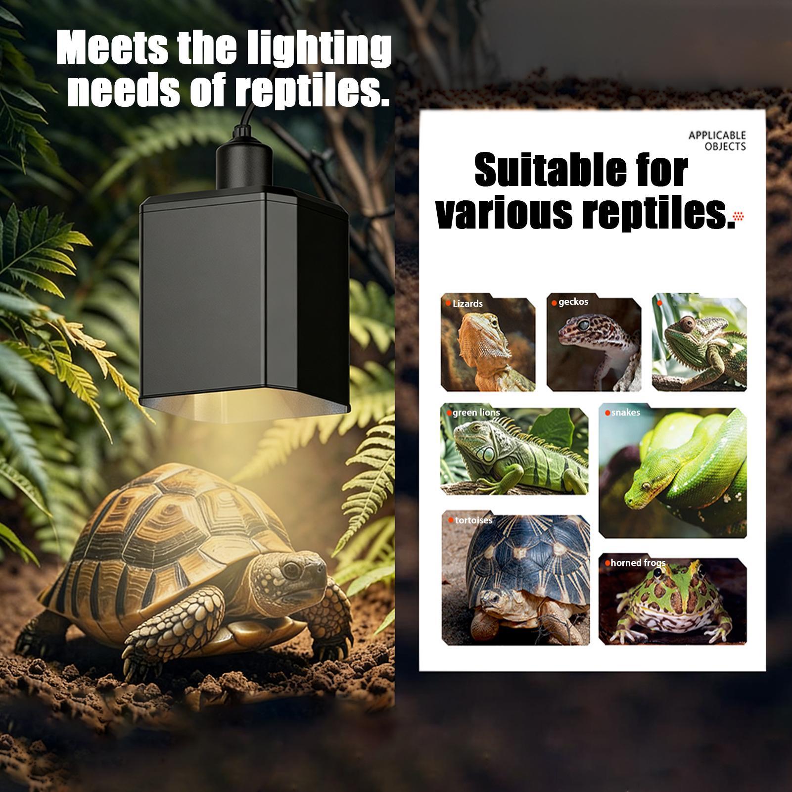 Paralume termico per rettili C - Gecko Lighting & Decor recensione e prezzo